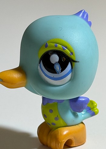 kus minis - Görsel 2