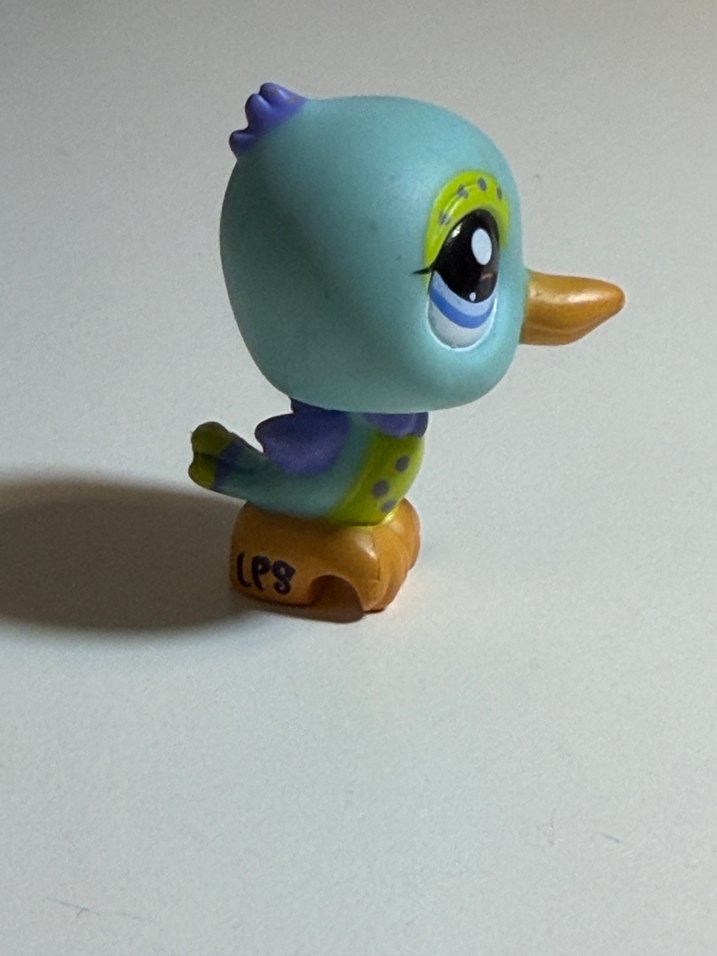 kus minis - Görsel 3