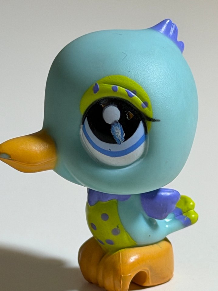 kus minis - Görsel 2