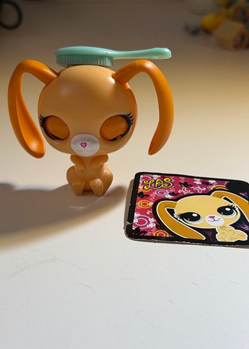 ozel seri tavsan minis - Görsel 2