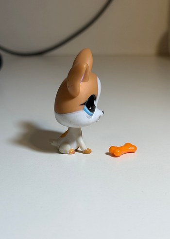 kopek minis - Görsel 4