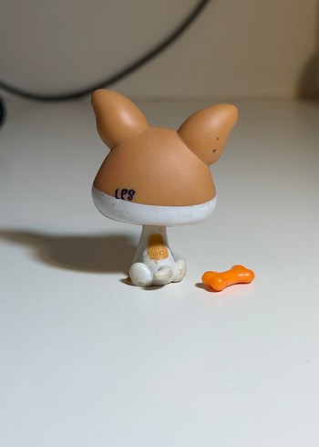 kopek minis - Görsel 3