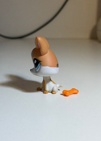 kopek minis - Görsel 2