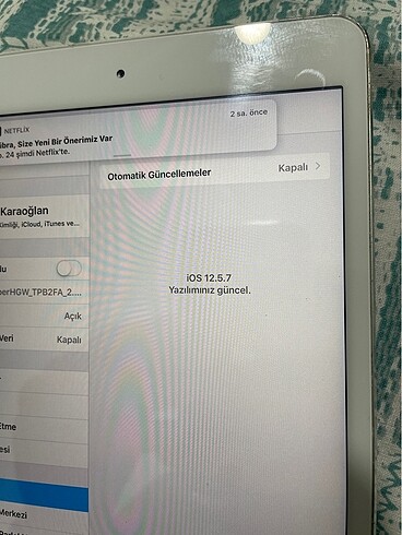 Beden Renk iPad mini