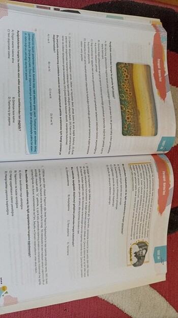  Beden 7.sinif paragraf