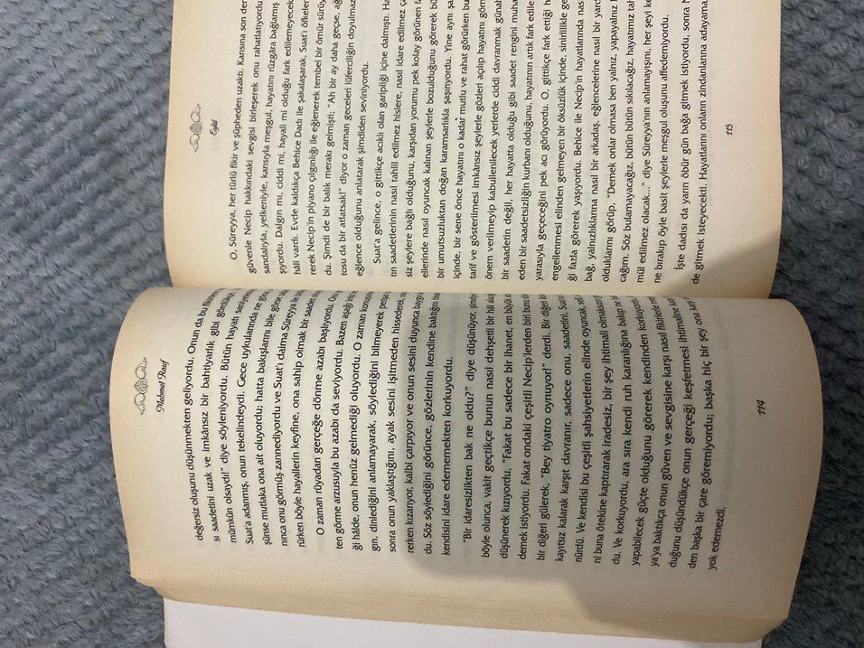 Eylül - Mehmet Rauf Roman - Görsel 3