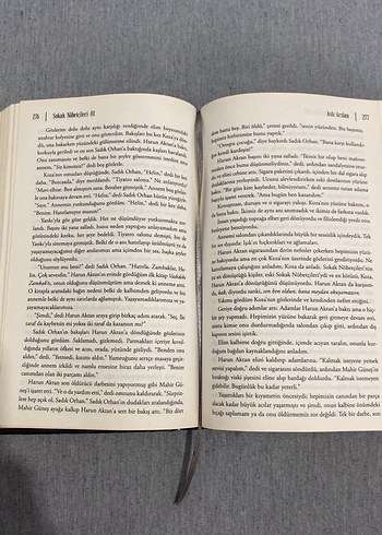 Sokak Nöbetçileri III - Aslı Arslan - Görsel 3