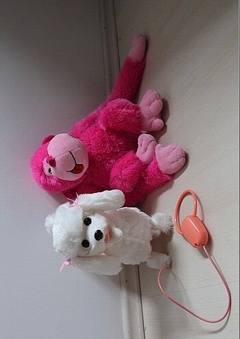 Peluş maymun ve peluş köpek.