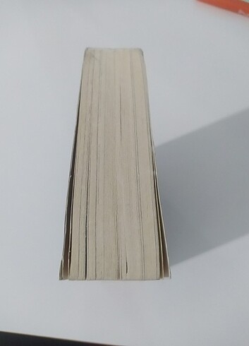  Orion - Almina Taner