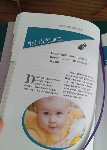 Anneciğim Beni Tanıyor Musun? - Hatice Kübra Tongar - Görsel 4