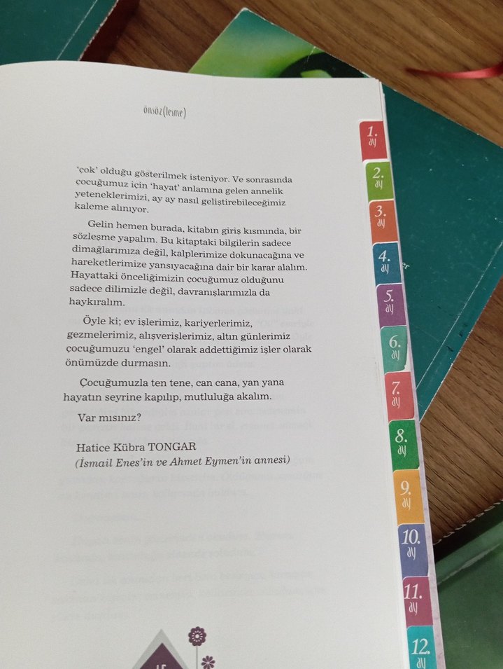 Anneciğim Beni Tanıyor Musun? - Hatice Kübra Tongar - Görsel 2