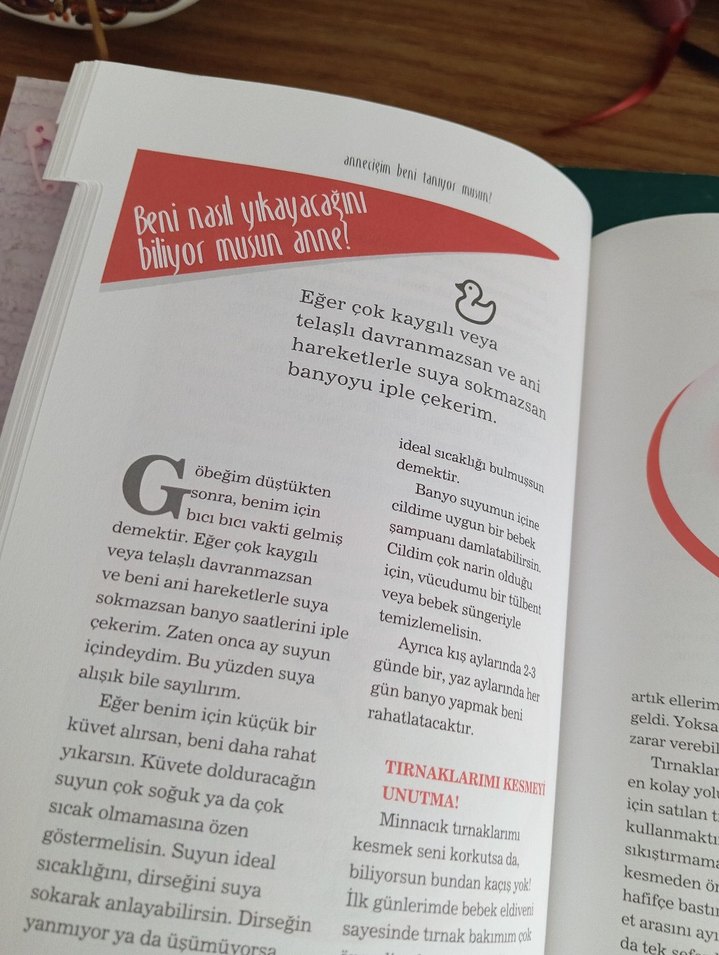 Anneciğim Beni Tanıyor Musun? - Hatice Kübra Tongar - Görsel 5