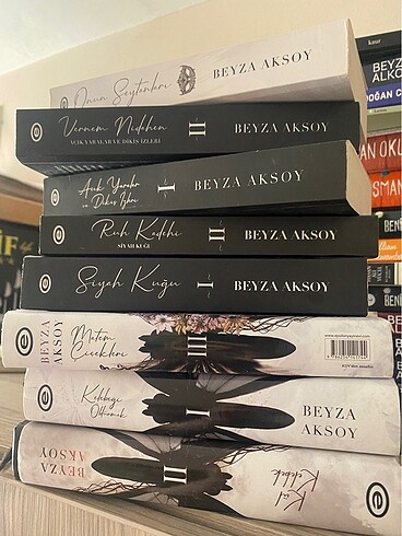 Beyza Aksoy Kitap