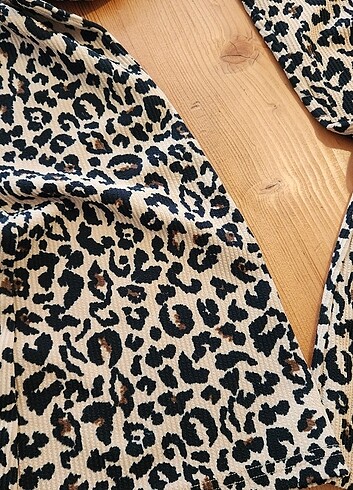 Leopar 
