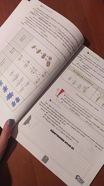 10.sınıf biyoloji konu anlatımlı test kitabı