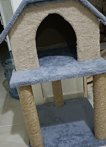 Evcil kedi evi 