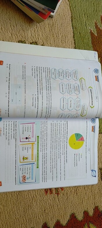 Beden Renk Günay Yayınları Paragraf 8.sınıf