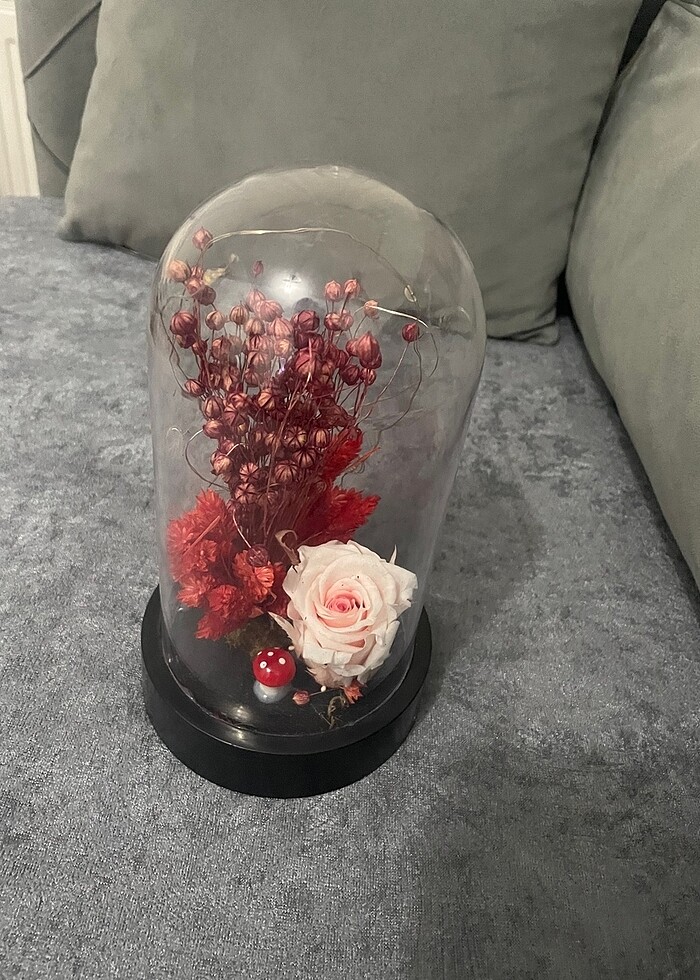 Solmayan gül - Görsel 2