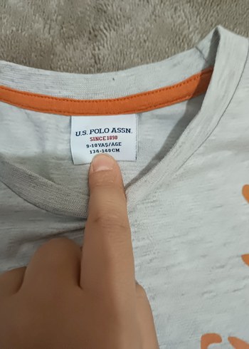 Gri Baskılı Pamuklu Erkek Tişört ve şort - Görsel 2