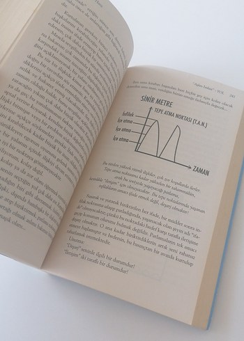 Aşkın İstilası Yol - Metin Hara - Görsel 2