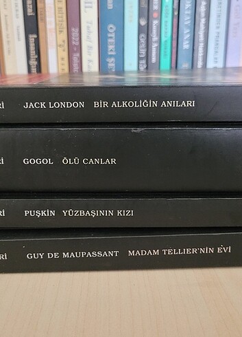 Dünya klasikleri kitap 
