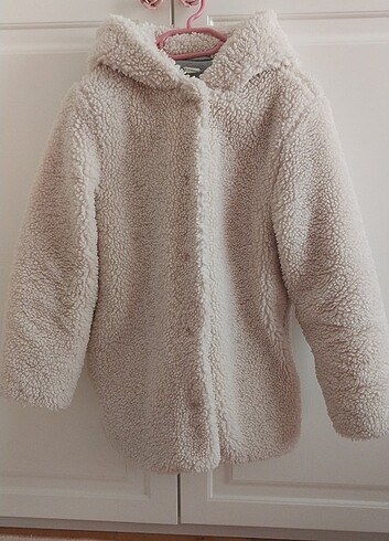 Teddy kaban 