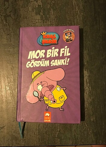 Mor Bir Fil Gördüm Sanki Kitabı