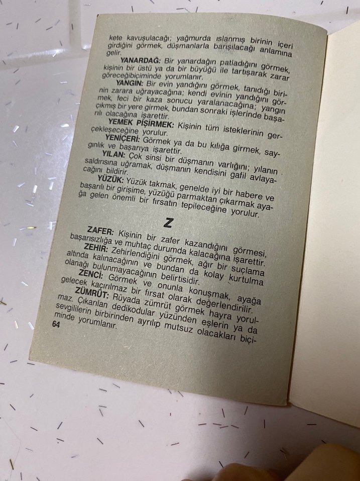 Hürriyet Nostaljik Rüyalarınızın Dili Kitabı - Görsel 4