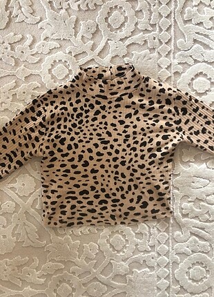 Pull and bear 