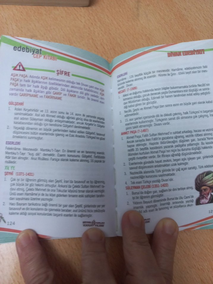 lys edebiyat yardımcı kaynak - Görsel 3