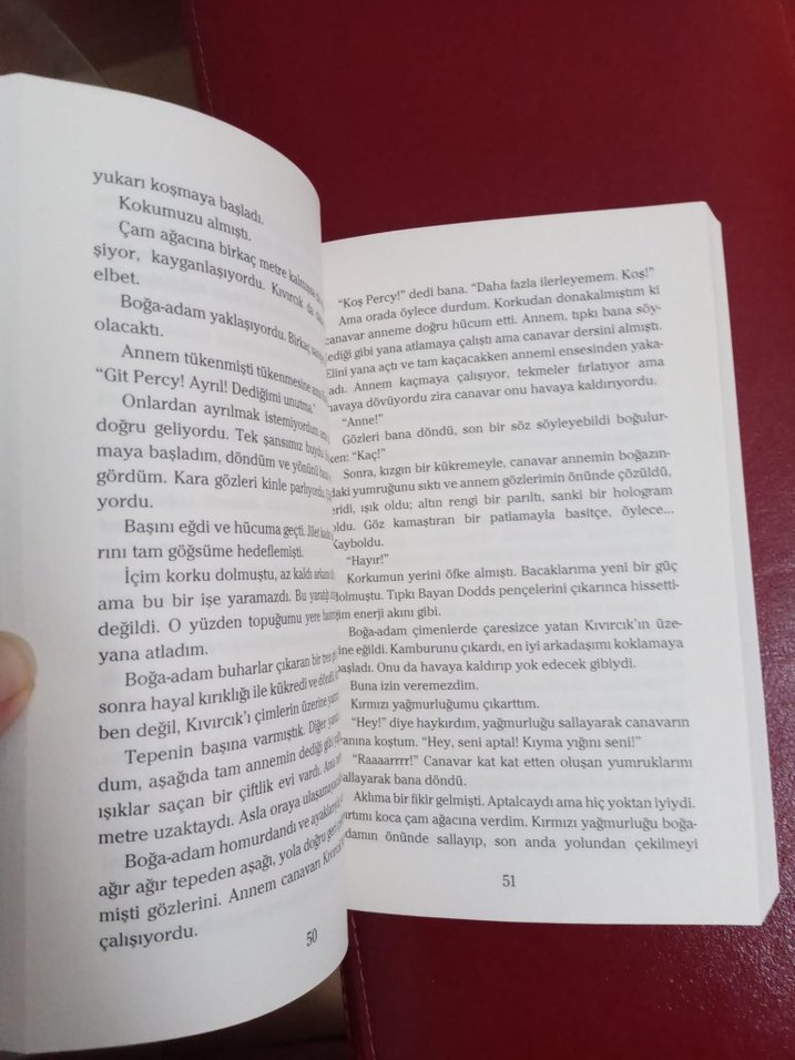 Percy Jackson ve Olimposlular: Şimşek Hırsızı - Görsel 3