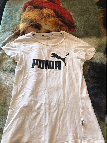 Puma beyaz tshirt