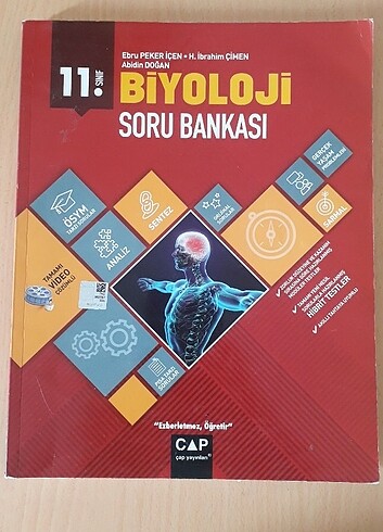 Ayt biyoloji sistemler