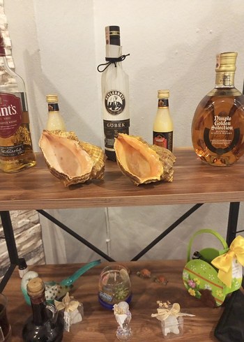 Deniz Kabuklu Dekoratif Sabunluk - Görsel 4