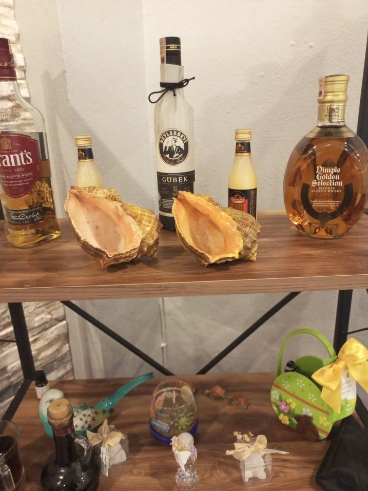 Deniz Kabuklu Dekoratif Sabunluk - Görsel 4