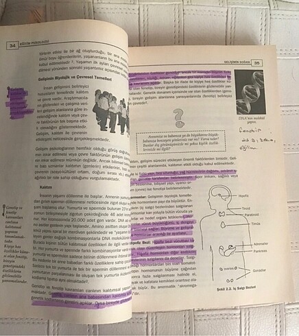 Beden Eğitim pisikolojisi