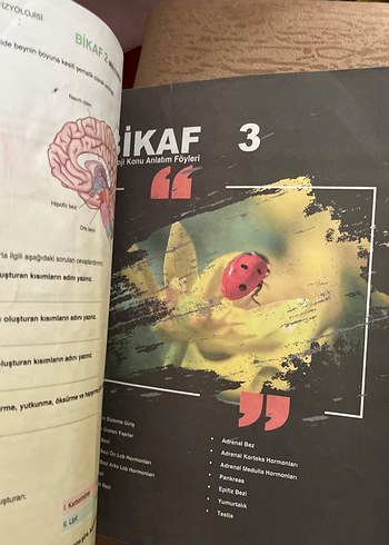  11. Sınıf Biyoloji Konu Anlatım ve Soru Bankası