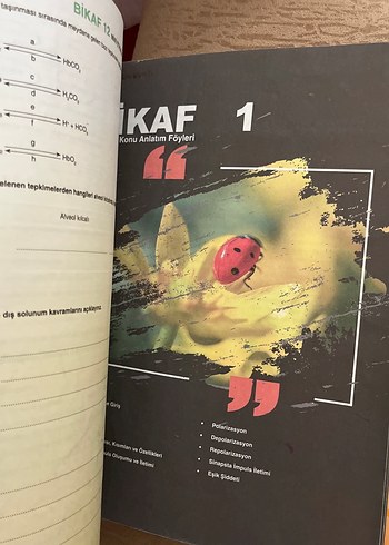  Beden 11. Sınıf Biyoloji Konu Anlatım ve Soru Bankası