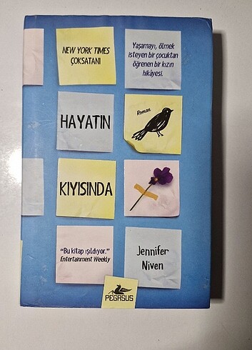 Hayatın Kıyısında 