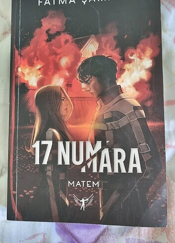 17 numara 3 matem