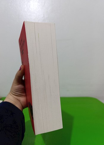 Bir Gün Tek Başına - Vedat Türkali - Görsel 2