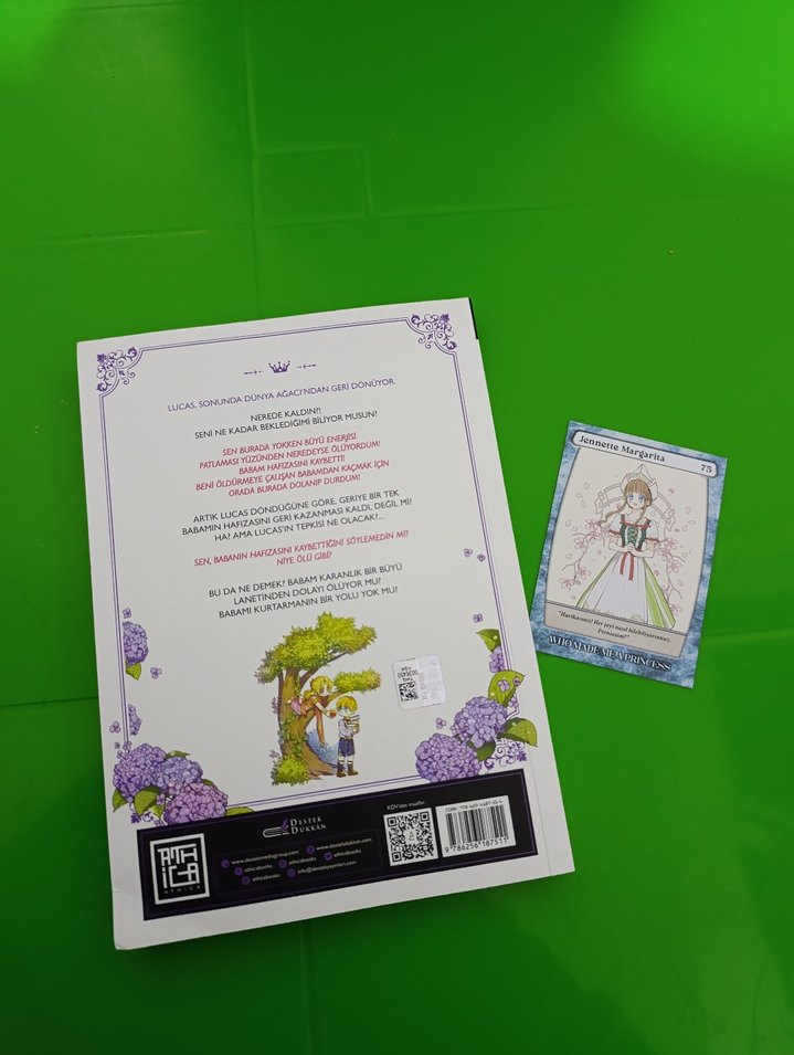 Nasıl Prenses Oldum 5 - Çizgi Roman - Görsel 3