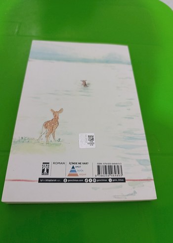 Suyun Bizi Götürdüğü Yer - Alan Barillaro - Görsel 3