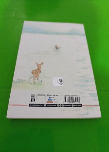 Suyun Bizi Götürdüğü Yer - Alan Barillaro - Görsel 2