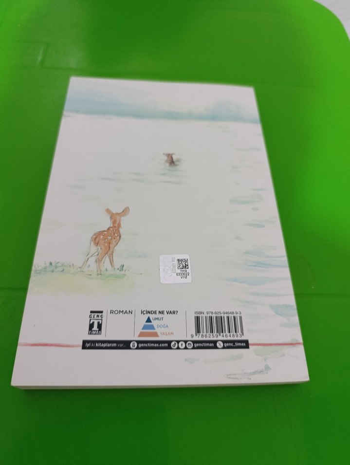 Suyun Bizi Götürdüğü Yer - Alan Barillaro - Görsel 3