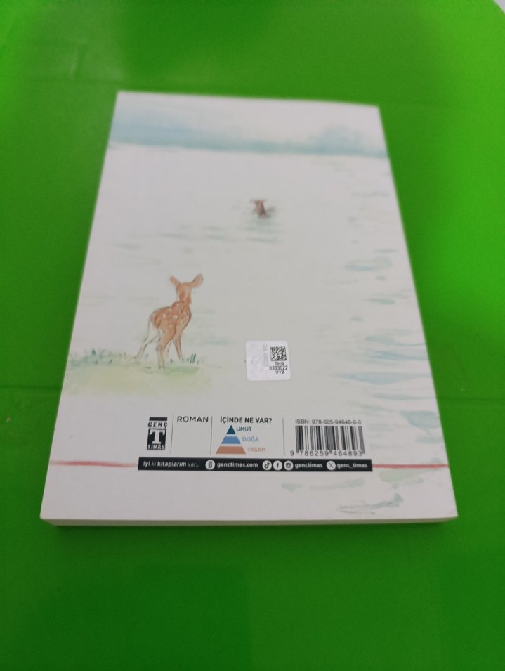 Suyun Bizi Götürdüğü Yer - Alan Barillaro - Görsel 2