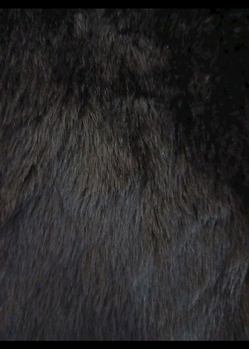 Kahverengi Kürklü Kadın Yelek - Görsel 4