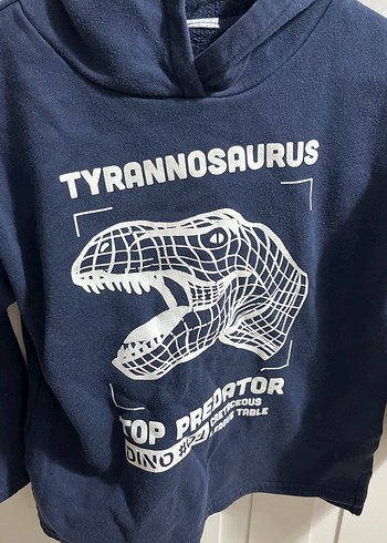 Erkek Çocuk Mavi Baskılı Boğazlı Sweatshirt