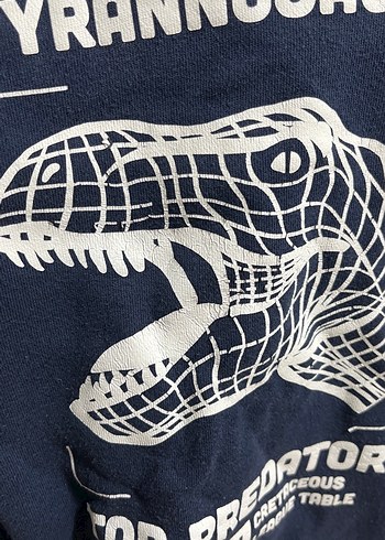H&M Erkek Çocuk Mavi Baskılı Boğazlı Sweatshirt