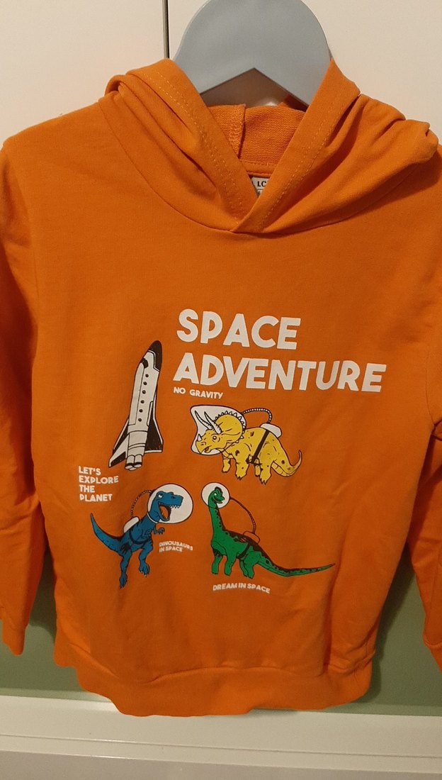 Erkek cocuk kapşonlu sweatshirt - Görsel 2